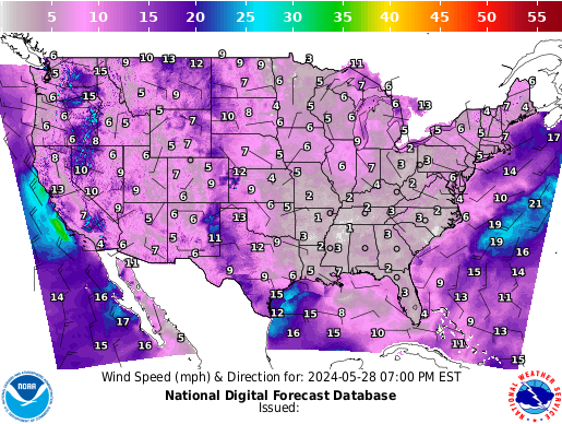 Surface Winds 